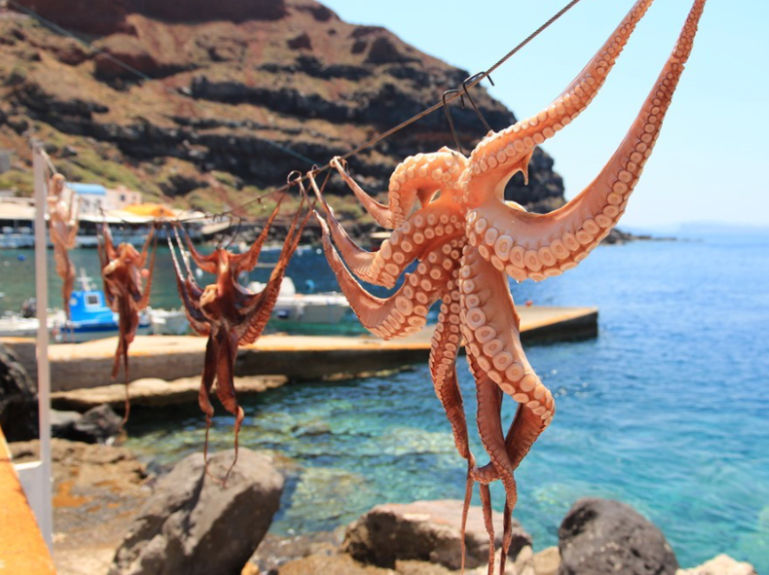 Greece’s Octopus Tradition