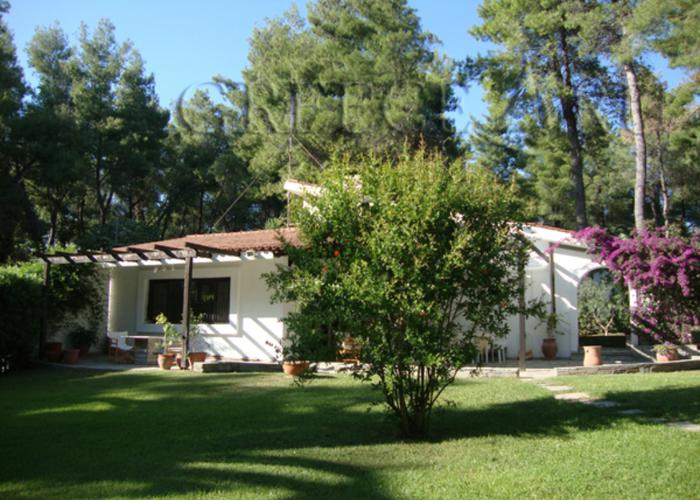 Villa Olga in Sani Kassandra