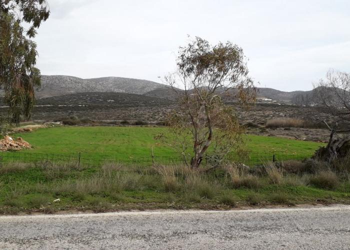 Land plot in Paros