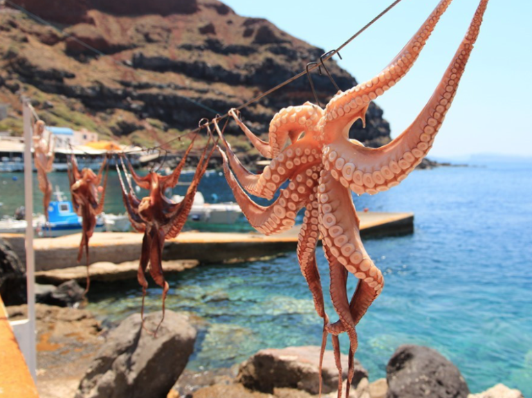 Greece’s Octopus Tradition