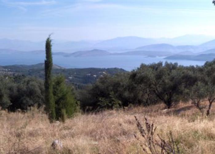 Land plot 25679394 in Corfu