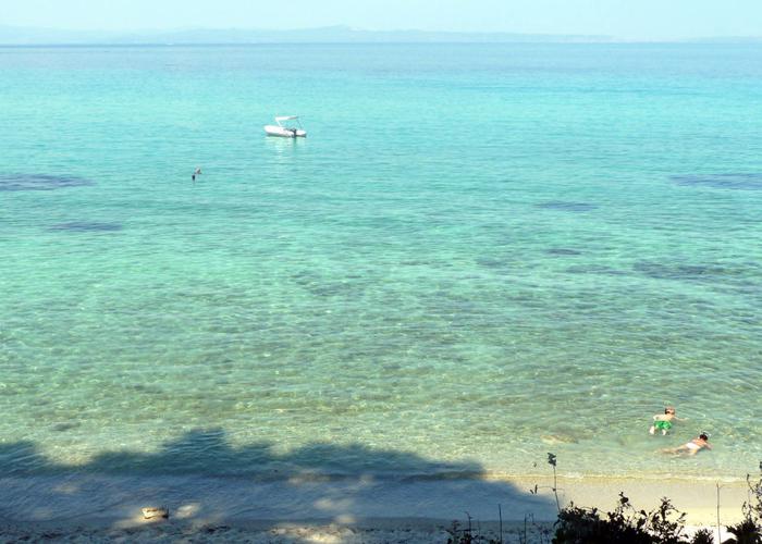 Μεζονέτα Έλη στην Κρυοπηγή Χαλκιδικής