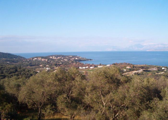 Land plot 29169300 in Corfu