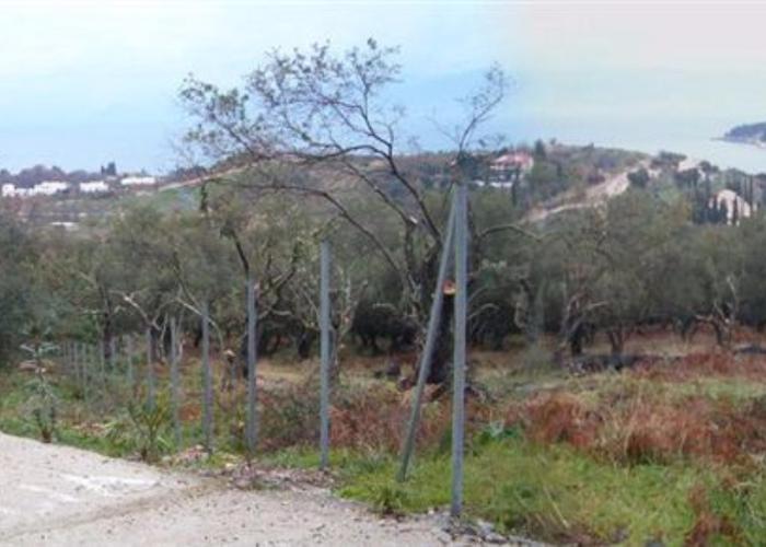 Land plot 29169300 in Corfu