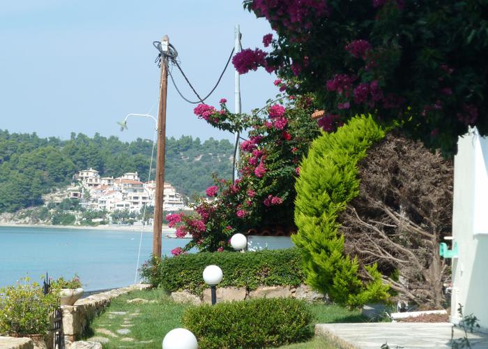 Apartment Foresy in Siviri Chalkidiki