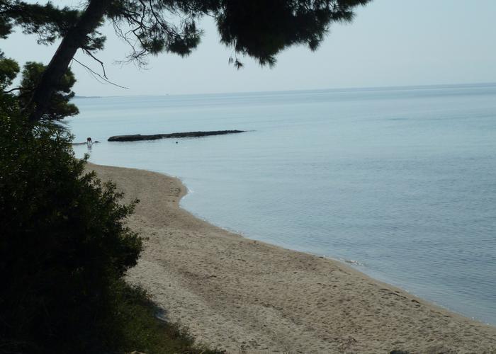 Apartment Foresy in Siviri Chalkidiki