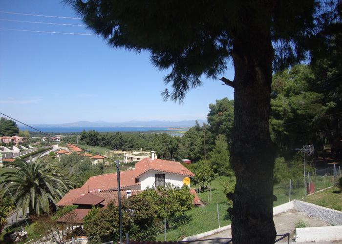 Townhouse Atrium in Sani