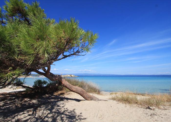 Μεζονέτα Καρύδι στον Οικισμό Καθηγητών