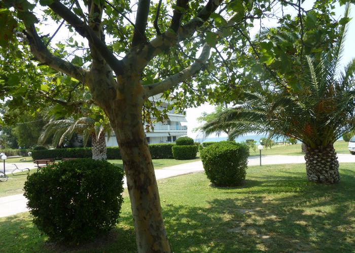Apartments Syneffo