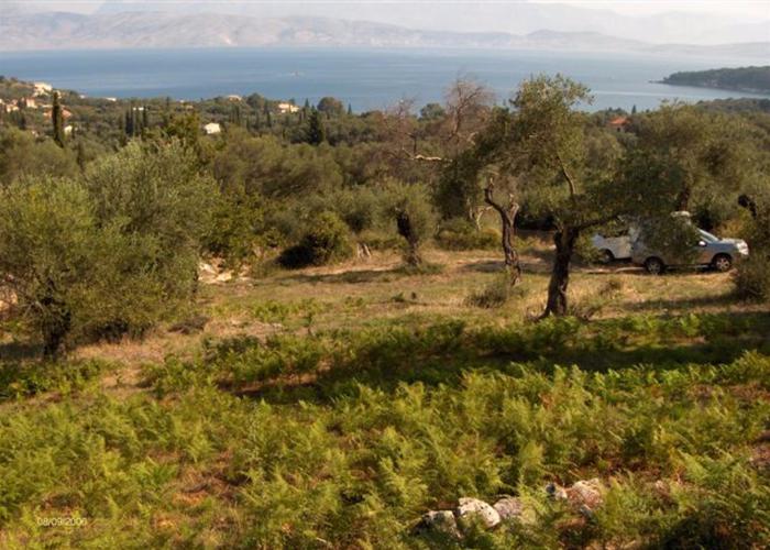 Land plot 49687574 in Corfu