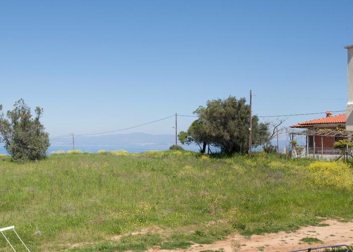 Townhouses Michele in Nea Fokea