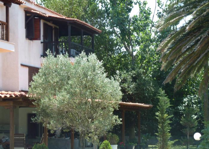 Townhouse Kleopatra in Skala Fourkas