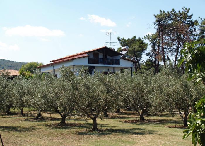 Διαμερίσματα Άγιος Νικόλαος στην Σιθωνία