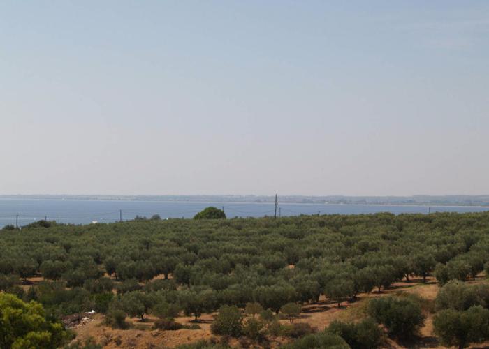 Μεζονέτες Γερακίνα στην Χαλκιδική
