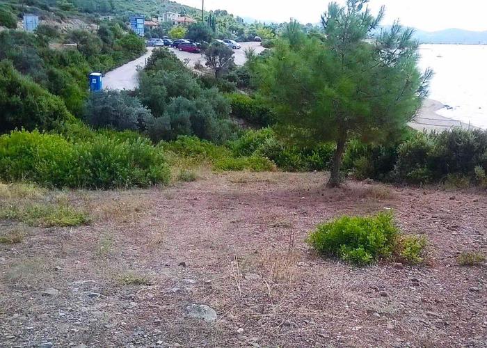 Land plot in Sithonia Chalkidiki