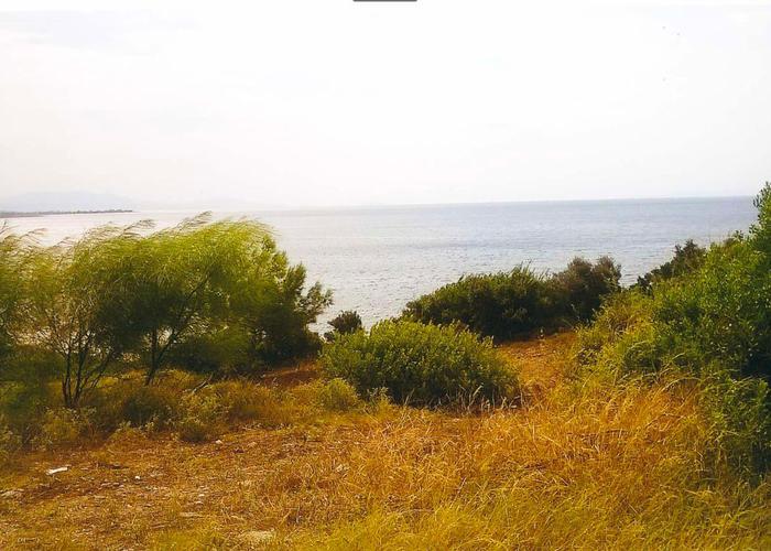 Land plot in Sithonia Chalkidiki