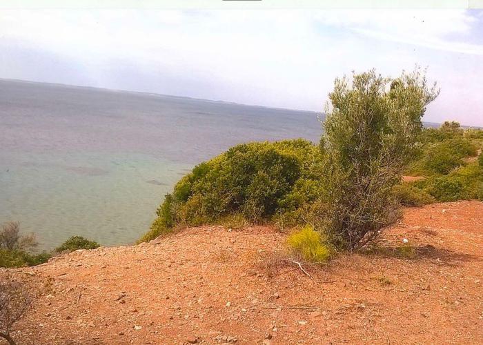 Land plot in Sithonia Chalkidiki