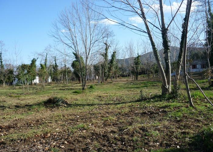 Land plot in Olimpiada Chalkidiki