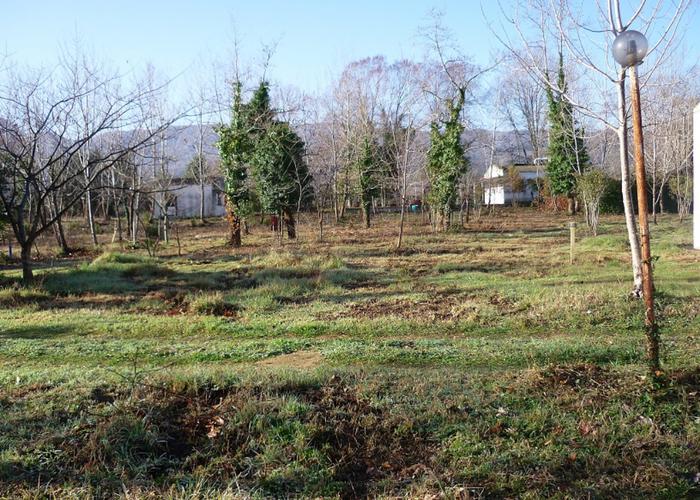 Γεωτεμάχιο στην Ολυμπιάδα Χαλκιδικής