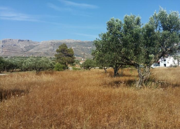 Land plot in Neapoli Vion