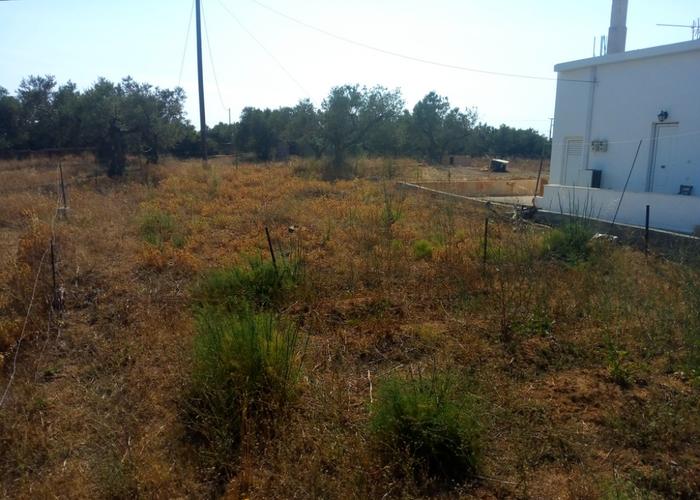 Land plot in Neapoli Vion