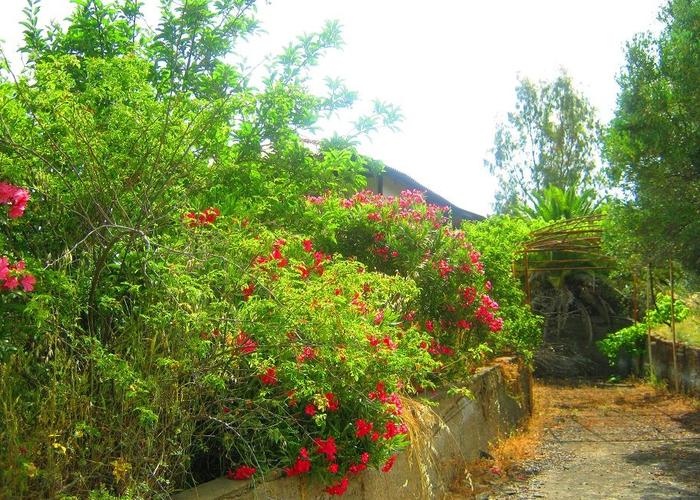 Land plot in Metamorfosi Chalkidiki