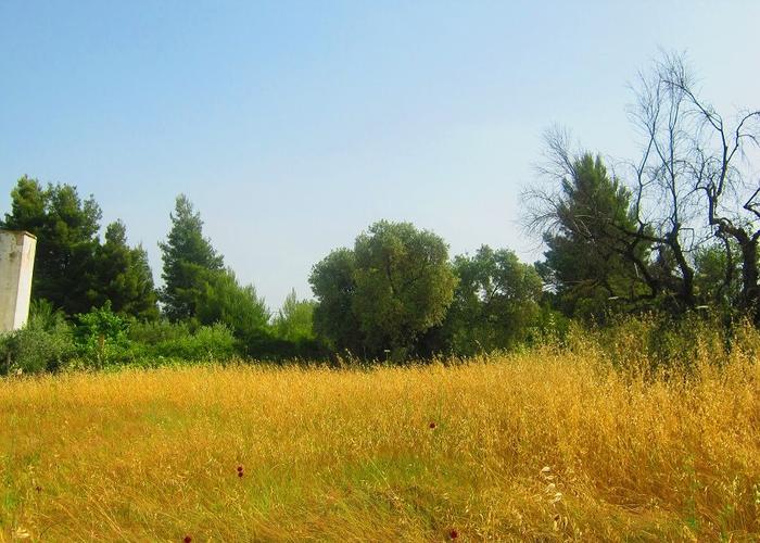 Γεωτεμάχιο στην Μεταμόρφωση Χαλκιδικής