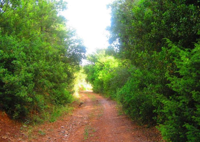 Land plot in Metamorfosi Chalkidiki