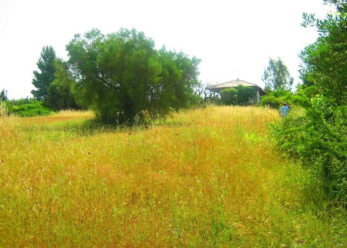 Land plot in Metamorfosi Chalkidiki