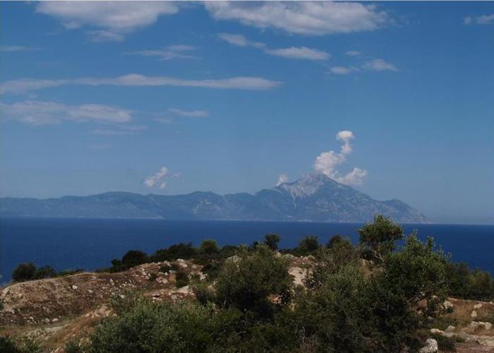 Γεωτεμάχιο 16848054 στην Σάρτη