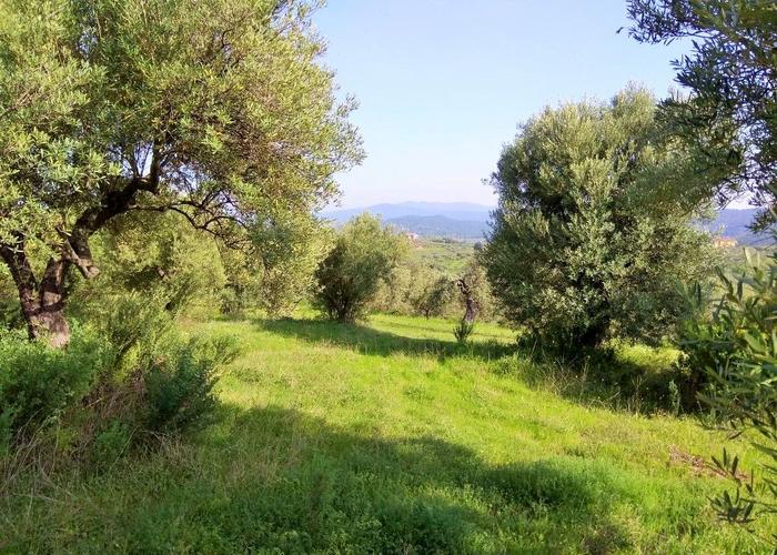 Land plot in Agios Nikolaos