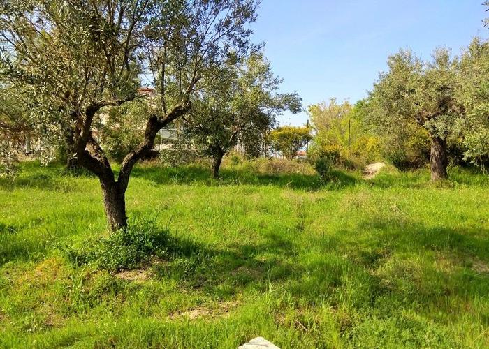 Land plot in Agios Nikolaos