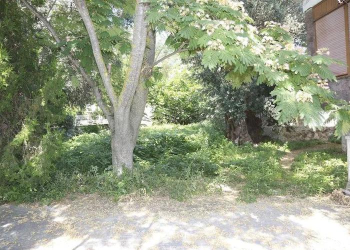 Land plot in Agios Isidoros Lesvos