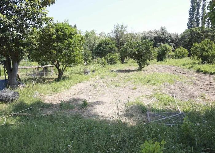 Земельный участок в Агиос Исидорос Митилини
