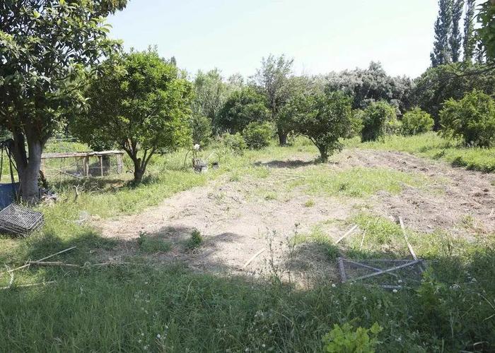 Land plot in Agios Isidoros Lesvos