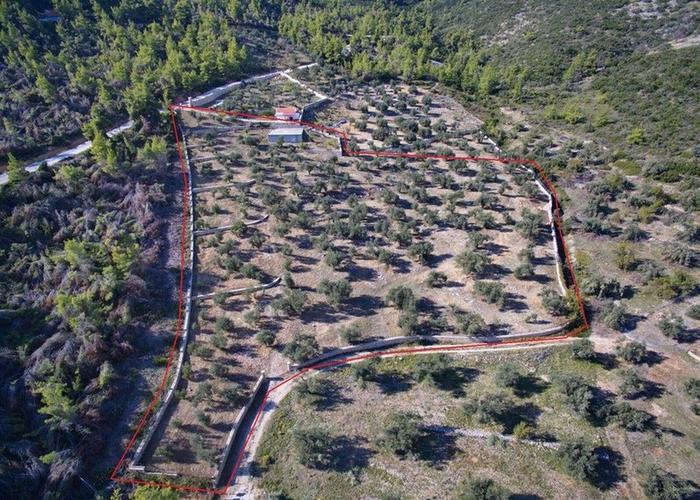 Land plot in Alonissos