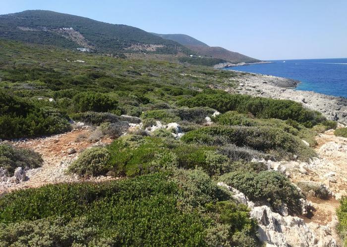 Land plot in Zakinthos