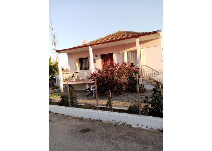Μονοκατοικία στην Νέα Απολλωνία