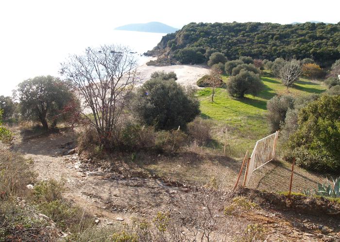 Land plot 19733360 in Sithonia