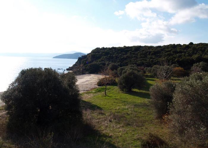 Land plot 19733360 in Sithonia