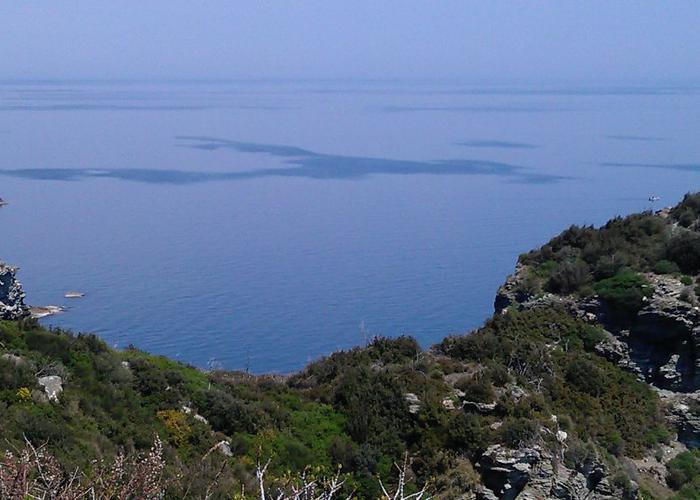 Land plot in Pelion