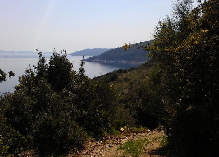 Land plot in Pelion