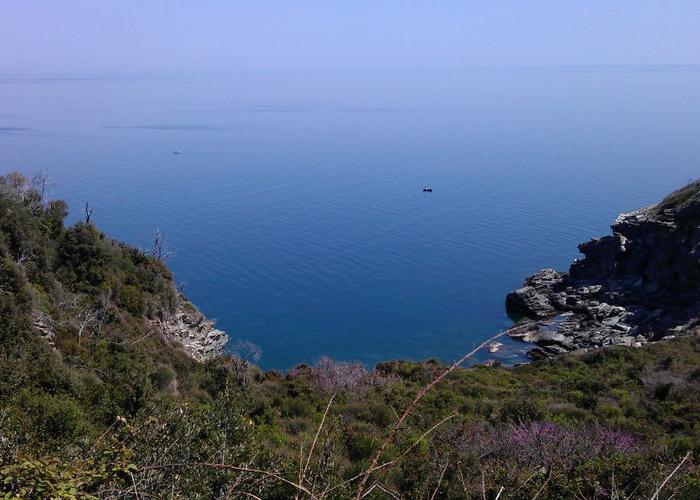 Land plot in Pelion