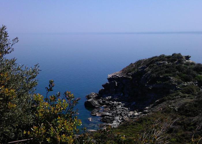 Land plot in Pelion