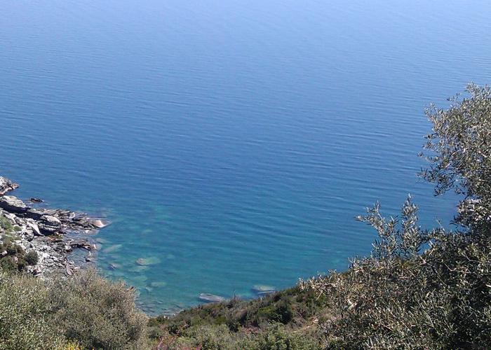 Land plot in Pelion