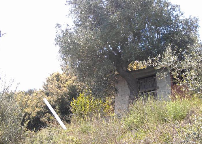 Land plot in Pelion