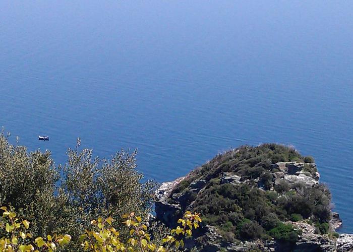 Land plot in Pelion