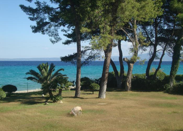 Villa Hortenzia in Chalkidiki Greece