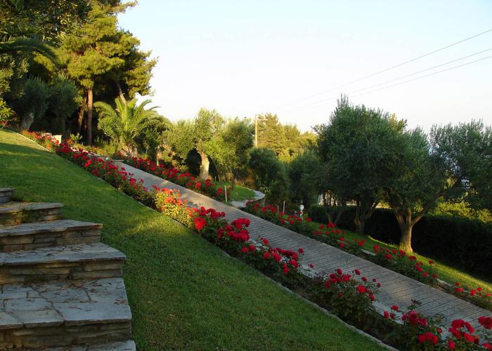 Hotel Eva in Kassandra Chalkidiki