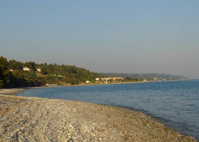 Hotel Eva in Kassandra Chalkidiki